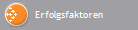 Erfolgsfaktoren